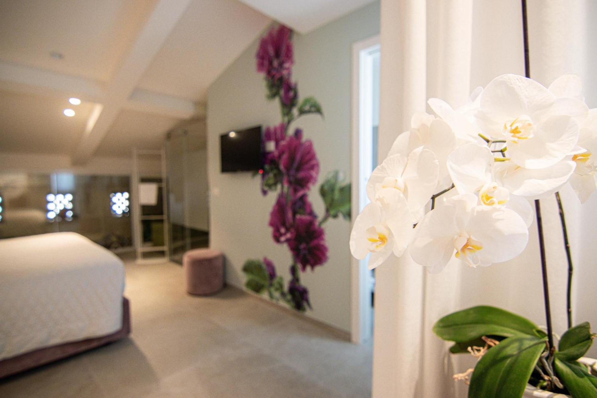 Profumi Di Primavera Luxury Rooms & Suite Матера Экстерьер фото